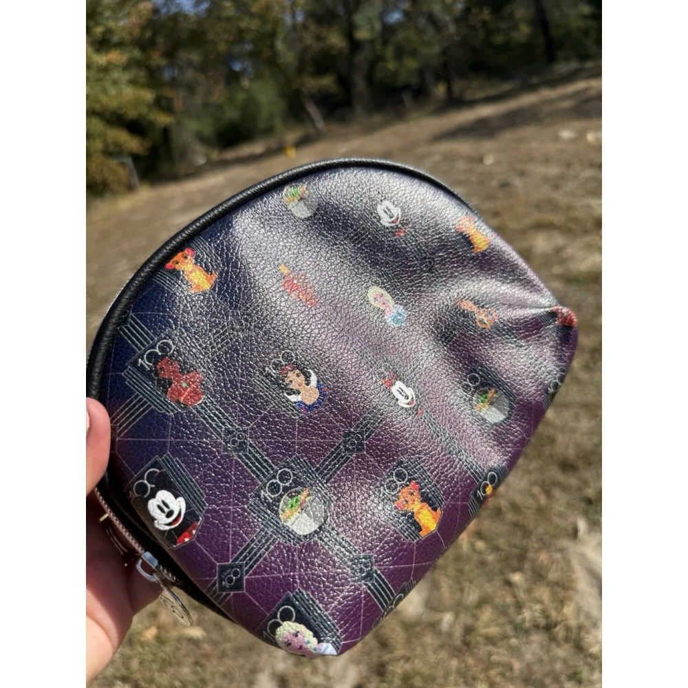 Disney 100 Years of Wonder Anniversary Cosmetic Bag READ